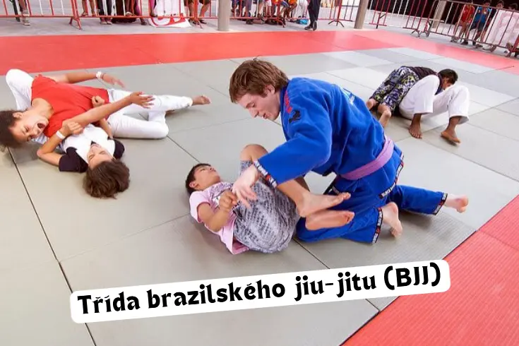 Třída brazilského jiu-jitu bjj