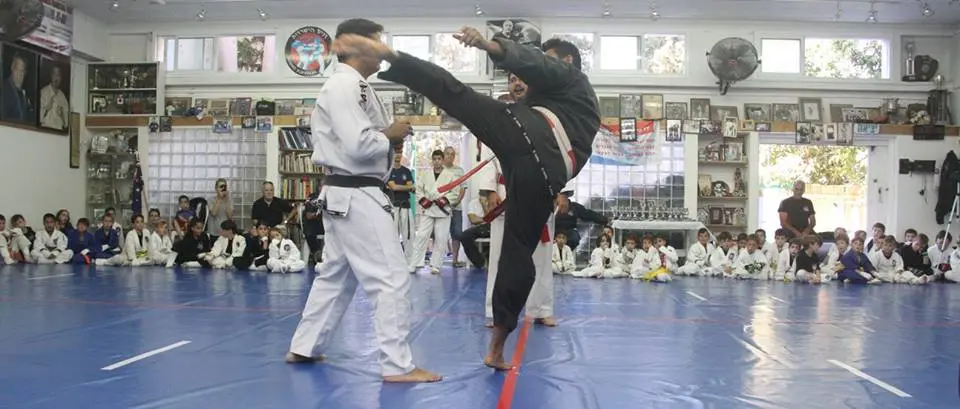 Dennis Survival JiuJitsu