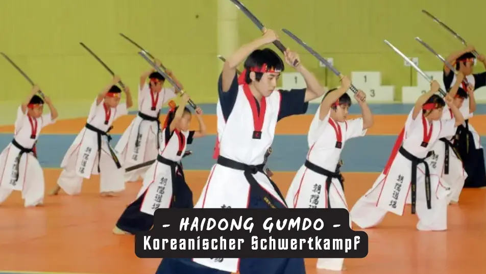 HAIDONG GUMDO - Koreanischer Schwertkampf