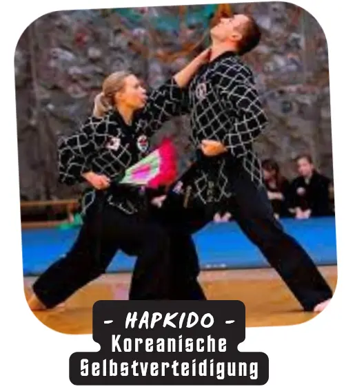 HAPKIDO - Koreanische Selbstverteidigung