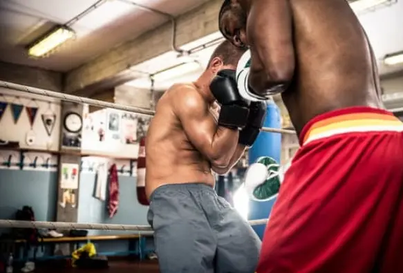 sparring box