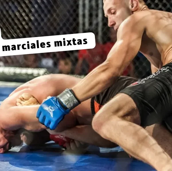 ¿Quieres ser una luchadora de MMA? Consejos para convertirse en luchador de MMA!
