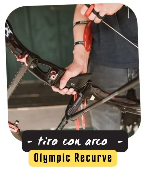 Arco Olympic Recuve tiro con arco