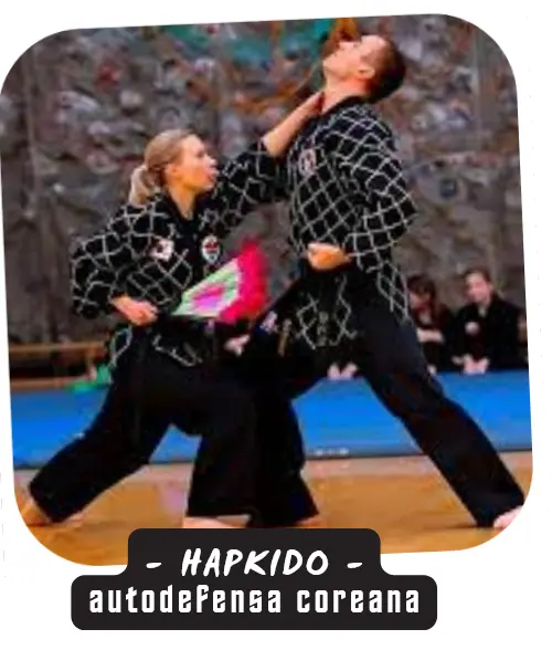 HAPKIDO - autodefensa coreana