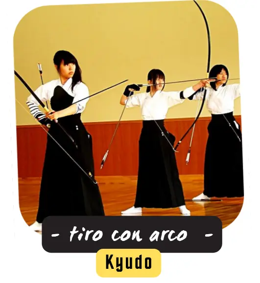 KYUDO tiro con arco
