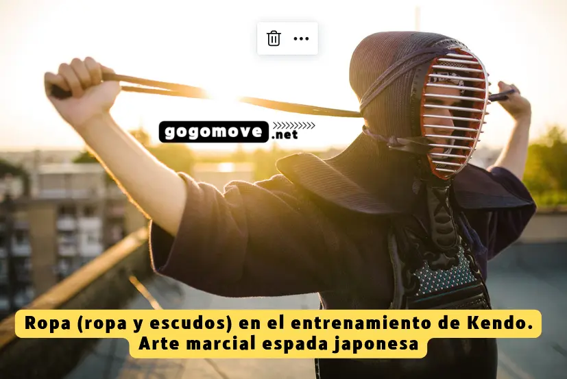 vestido-kendo-entrenamiento gogomove.net