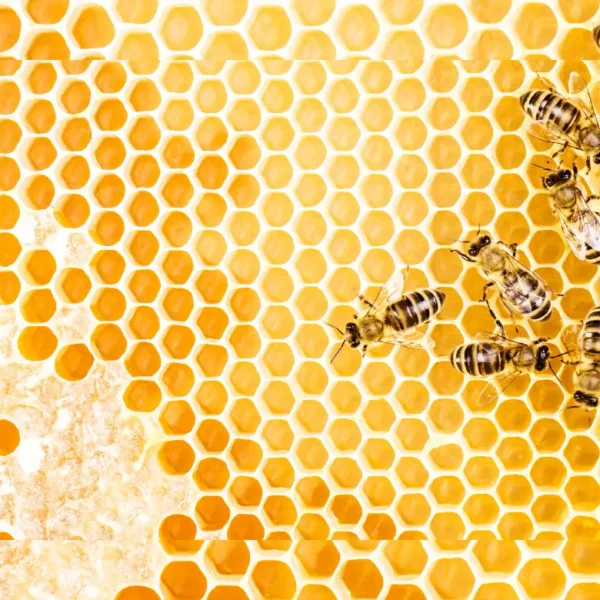 4 raisons d’ajouter du pollen d’abeille à vos plans de repas