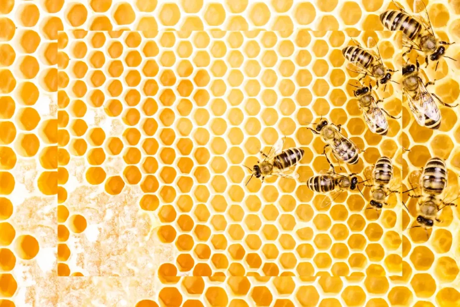 pollen d'abeille