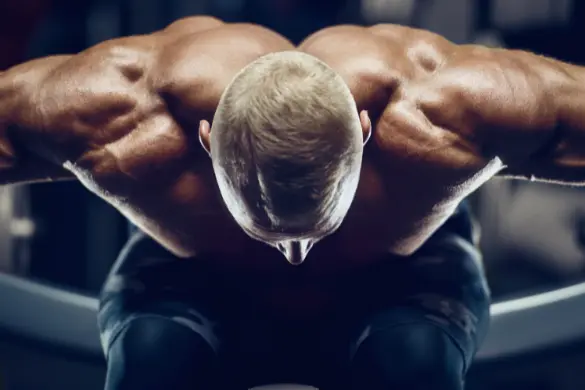 muscle trapèze