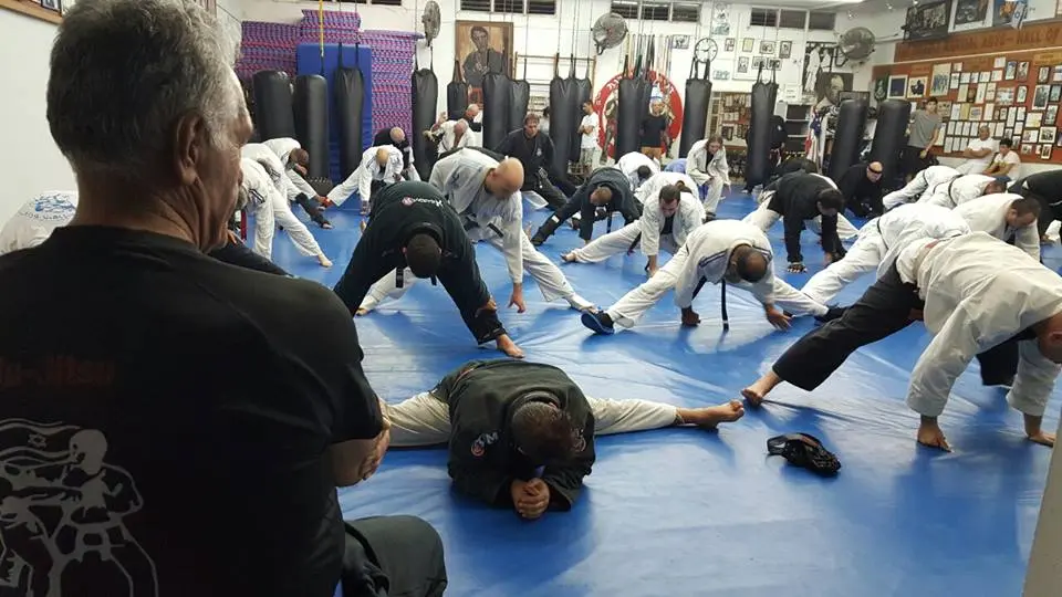 Dennis Survival Jiu Jitsu leçon