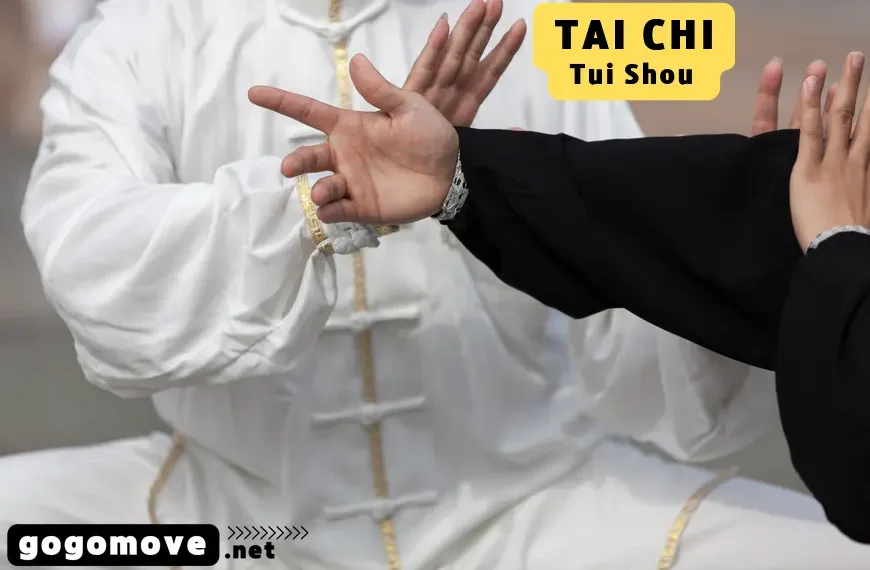 À propos de Pousser des mains – une partie essentielle de l&rsquo;art martial du Tai Chi – Tui Shou (Pushing Hands)