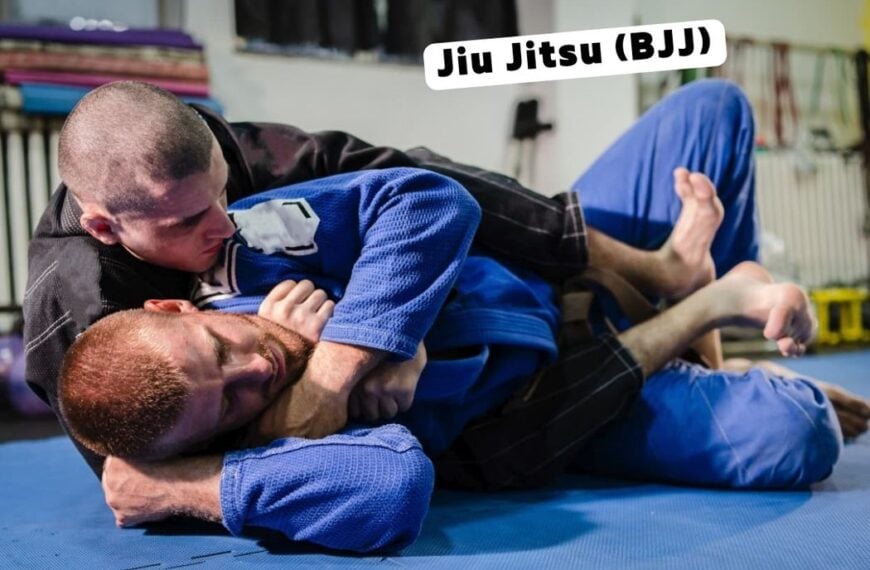 Koje su razlike između brazilske jiu jitse i japanske jiu-jitse?
