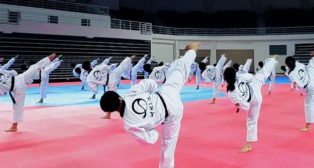 high kick taekwondo satovi