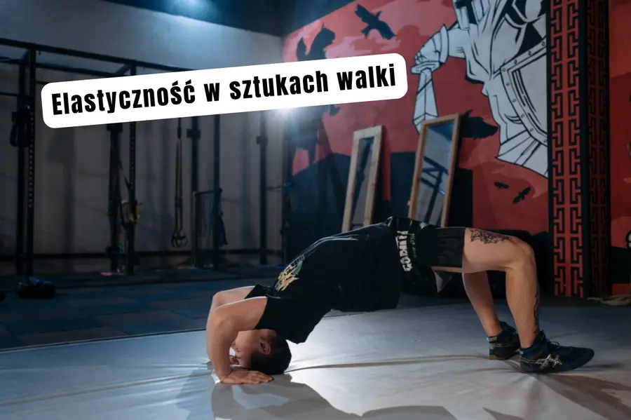 Elastyczność w sztukach walki