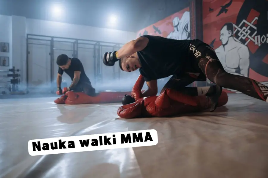Nauka walki MMA