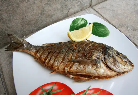 mączka rybna omega 3
