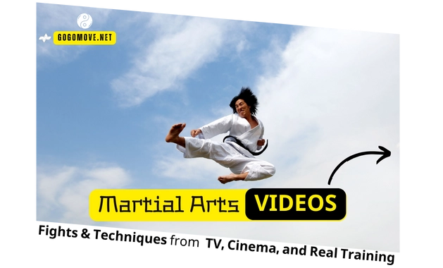 all Martial Arts VIDEOS